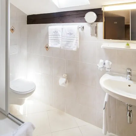 Hotel Mirador Ascona