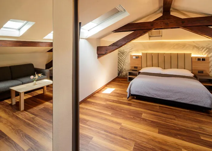 فندق Mirador أسكونا