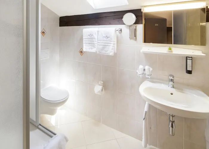 فندق Mirador أسكونا